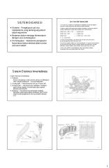 biologi_sistem ekskresi_2011-2012.pdf