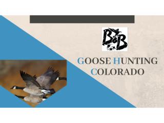 Goose Hunting Colorado.pptx